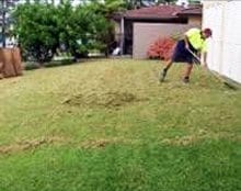 Lawn Renovation - Daleys Turf