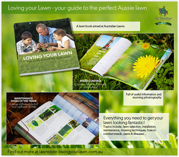 Loving Your Lawn Guide to the Perfect Aussie Lawn