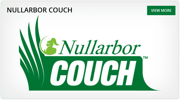 Nullarbor Couch
