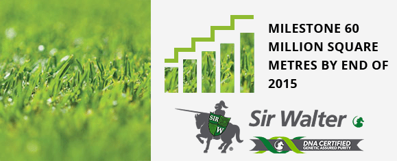 Sir Walter is the Best Value Lawn for Your Money
