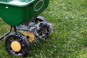Top Tips for Fertilising Your Lawn