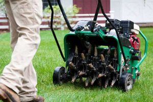 Aerating your lawn and keeping it healthy