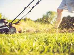 Lawn Tips for Summer