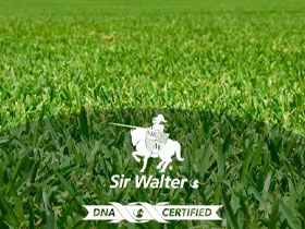 The History of Sir Walter Turf