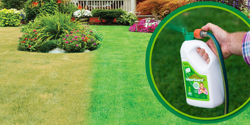 Ever thought of using Lawn Colourant?