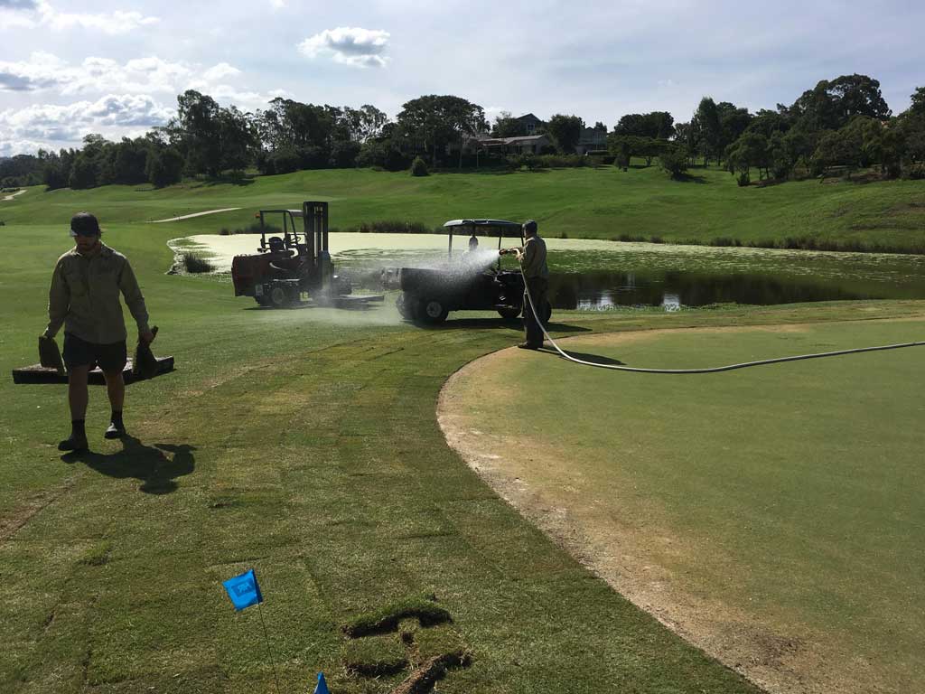 Indooroopilly Golf Course - Daleys Turf