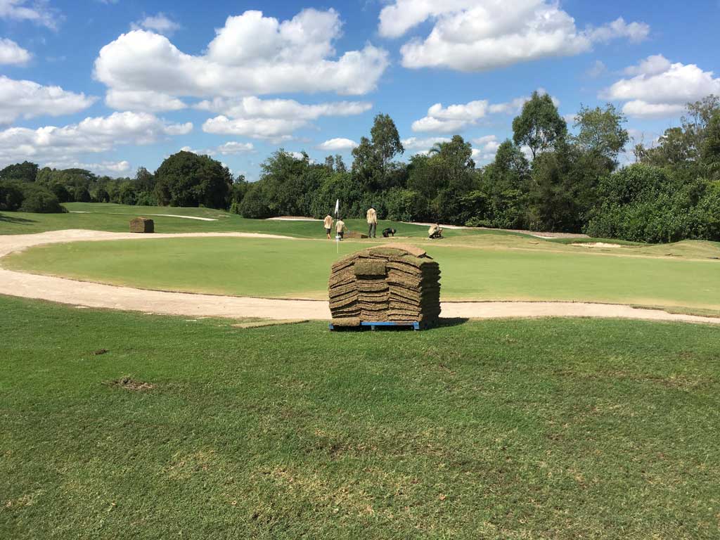 Indooroopilly Golf Course - Daleys Turf