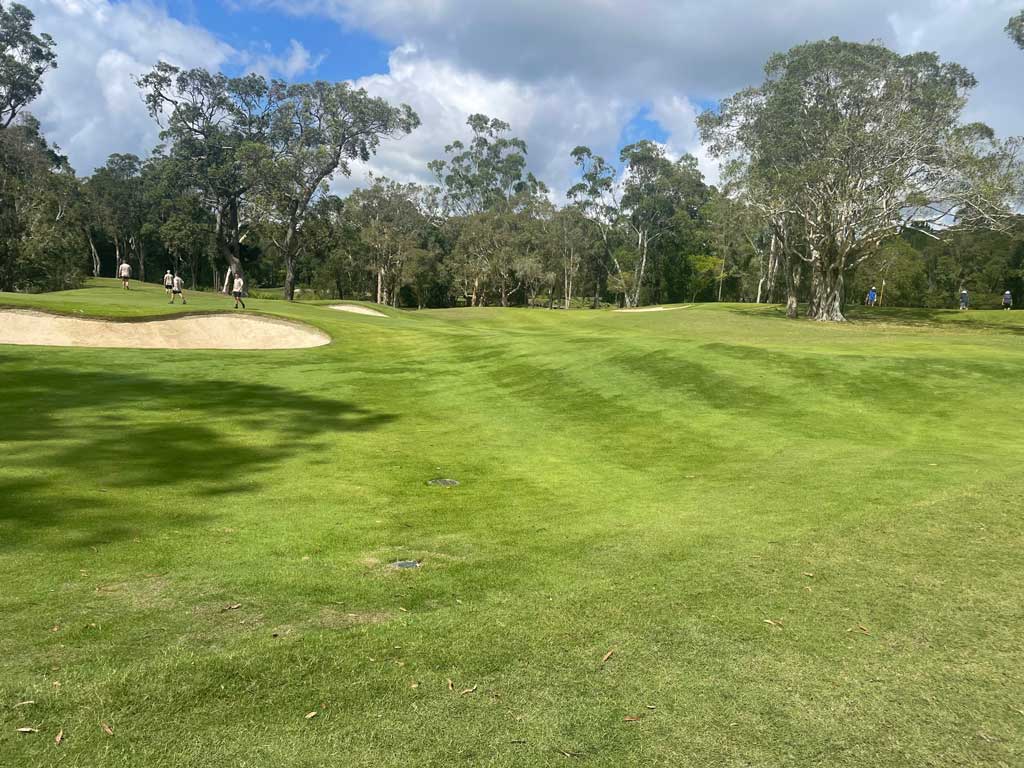 Noosa Golf Course - Daleys Turf